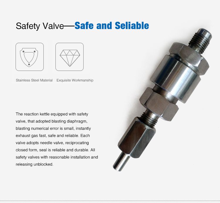 high pressure reactor system