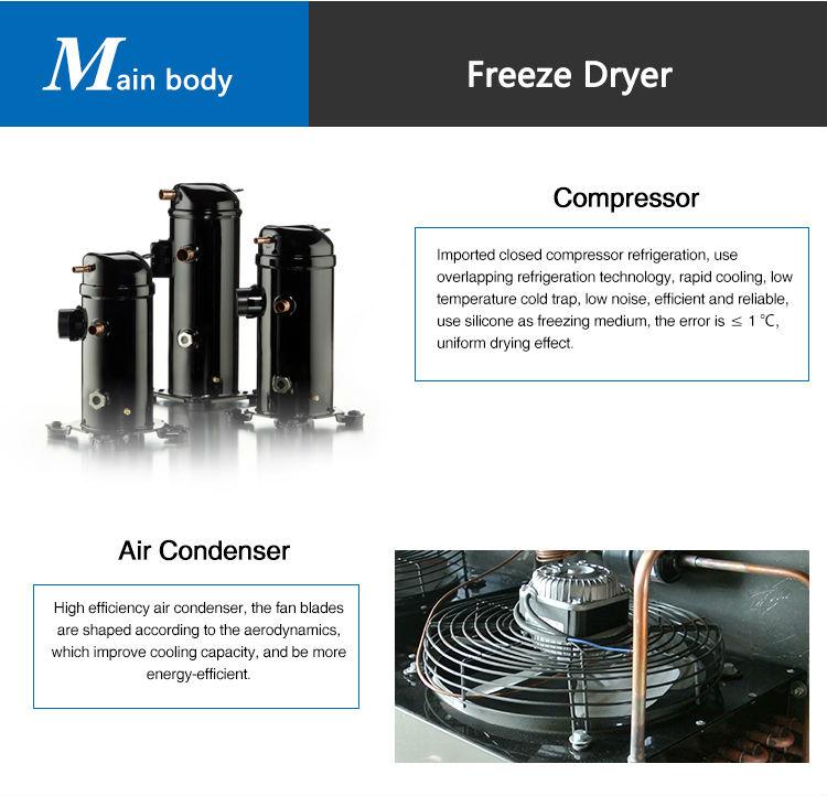 freeze dryer large