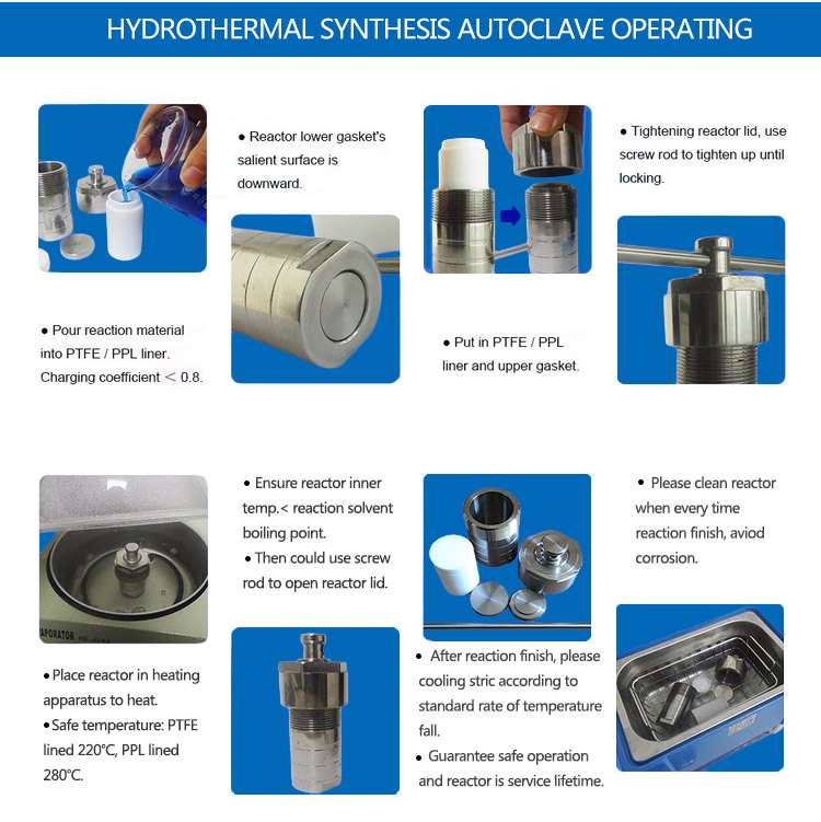 high pressure hydrothermal autoclave reactor