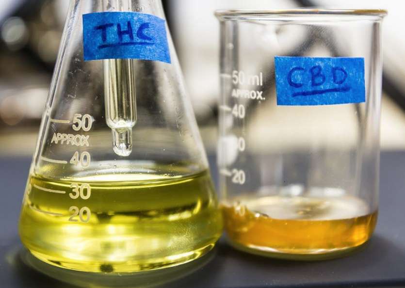 short path distillation thc