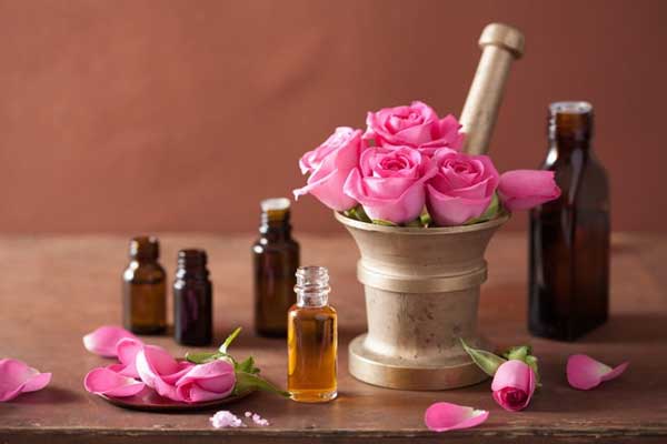 how to distill rose essential oil