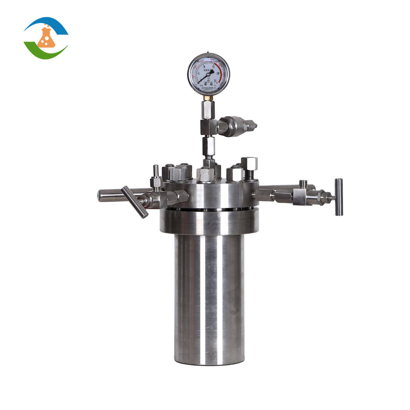 CF series simple high pressure reactor